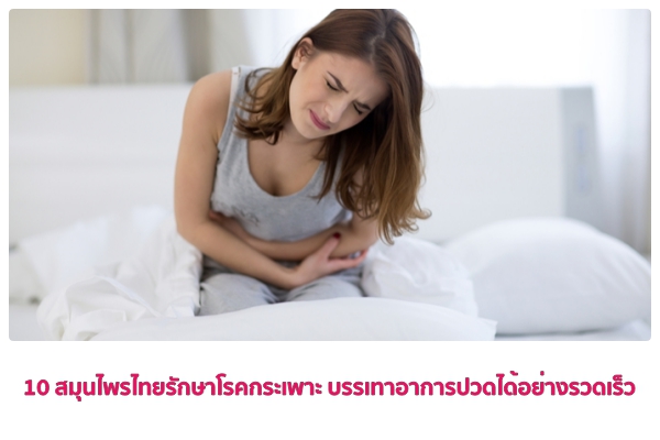 10 สมุนไพรไทยรักษาโรคกระเพาะ บรรเทาอาการปวดได้อย่างรวดเร็ว